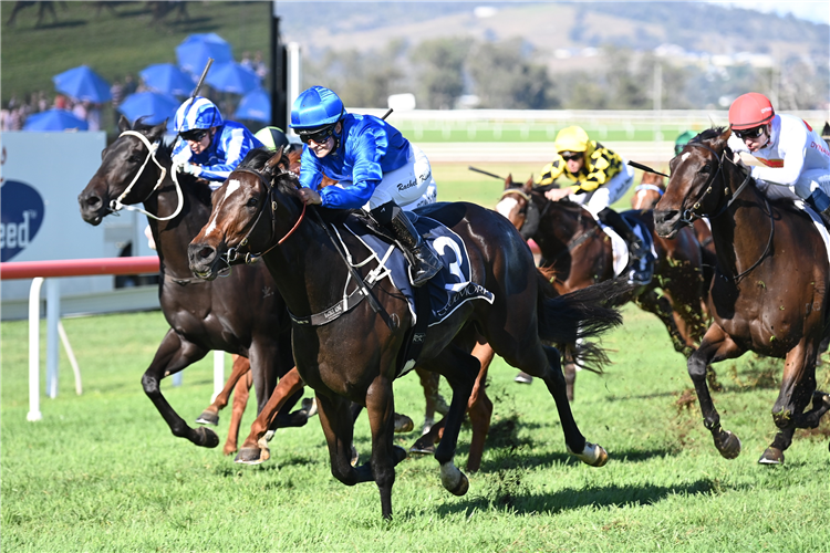 ZAPATEO winning the Coolmore Denise's Joy Stakes at Scone in Australia.