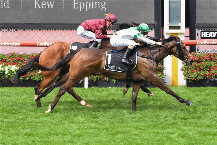 ZOE'S PROMISE winning the 3 Point Motors Fillies Classic at Moonee Valley in Australia.