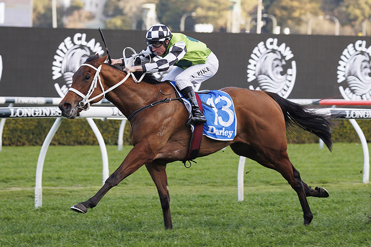 ZOUGOTCHA winning the Darley Silver Shadow Stakes