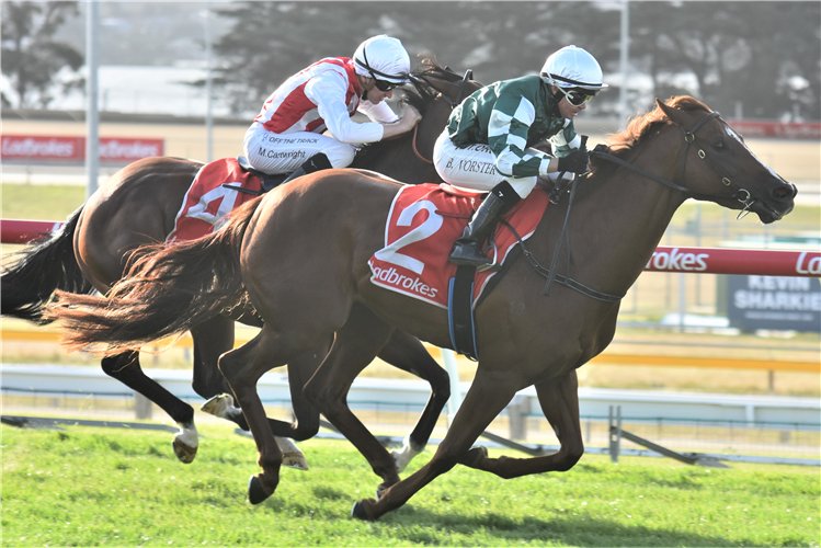ZOUSHINE winning the Bow Mistress Stakes at Hobart in Australia.