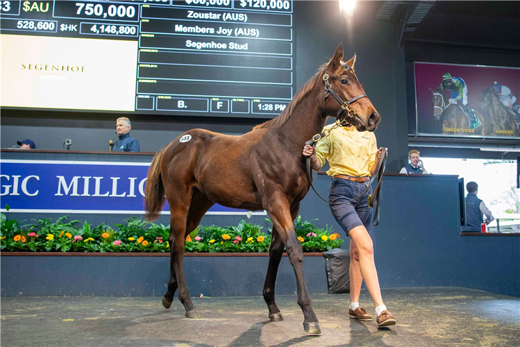 The record-equalling Magic Millions filly by Zoustar.