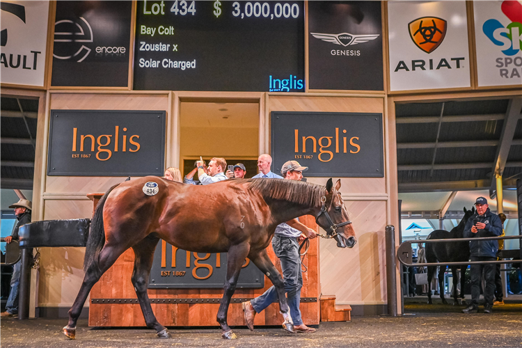 The $3m Zoustar colt who topped this year’s Inglis Easter Sale