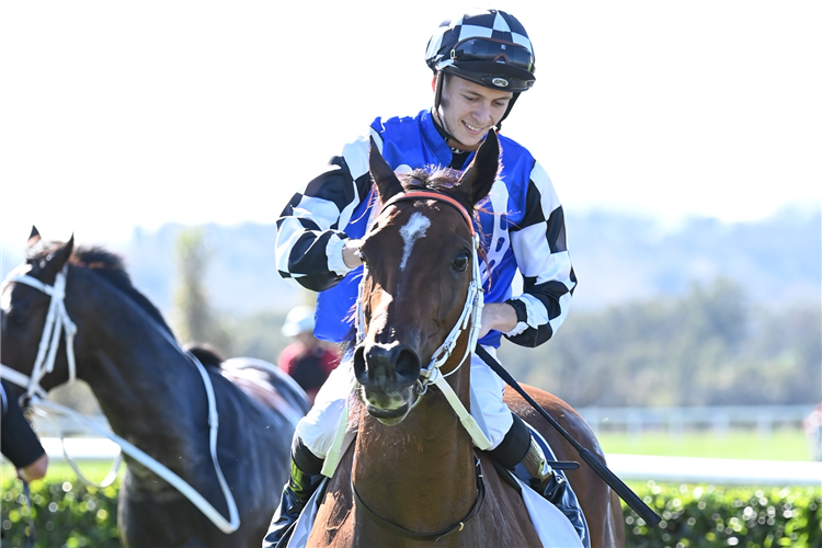 Jockey : DYLAN GIBBONS winning the Westpac Rescue Helicopter-Bm72 at Scone in Australia.