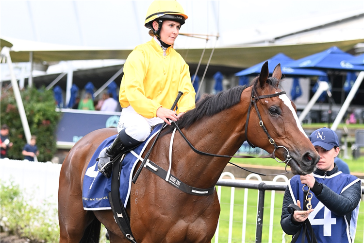 Jockey : MS RACHEL KING after winning the City Of Parra. Lord Mayors Cup at Rosehill in Australia.