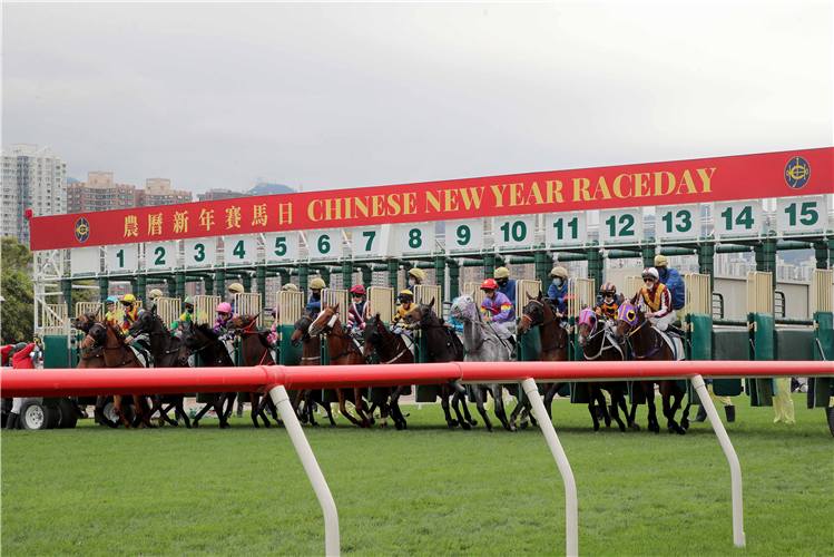 Sha Tin Racecourse