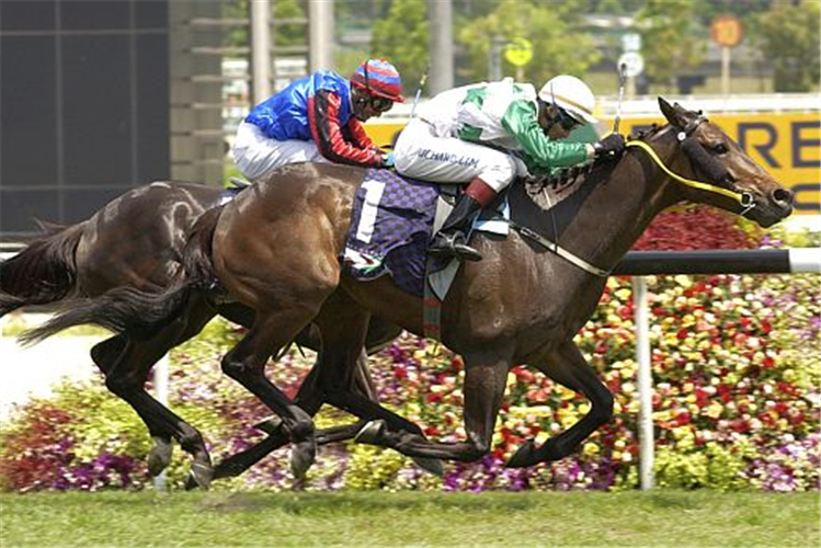 King And King (Richard Lim) flashes past Mount Street (Sam Subian) to take out the Group 2 Queen Elizabeth II Cup (2000m) in 2006.