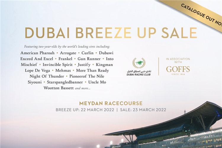 Dubai Breeze-Up Sale