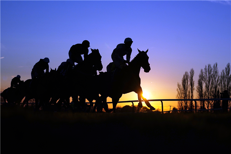 Runners and riders during the John and Maryanne Birch Memorial Handicap Hurdle at Fontwell Park Racecourse.