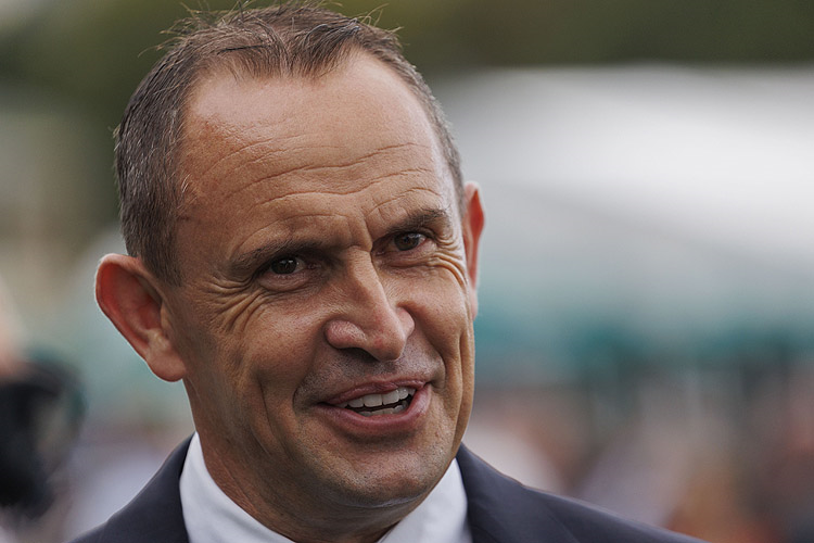 Trainer : CHRIS WALLER after, FANGIRL winning the Tab Light Fingers Stakes