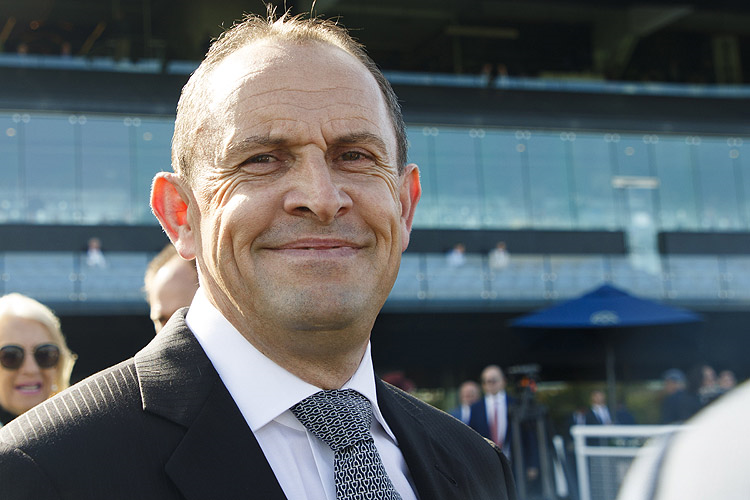 Trainer : CHRIS WALLER after, ZOUGOTCHA winning the DARLEY FLIGHT STAKES
