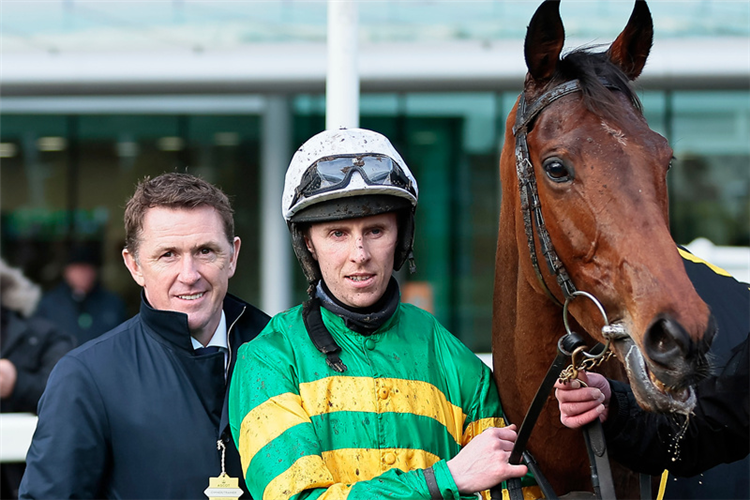 Fakir D'Oudairies -Mark Walsh winners with Tony McCoy The Betfair Ascot Chase (Grade 1)