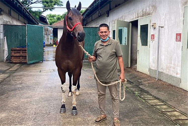 New trainer Mahadi Taib poses with last-start winner One Way Ticket, who is waiting to transfer over to his care.