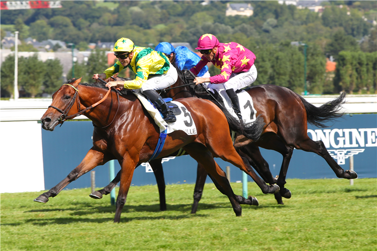 ACE IMPACT was the winner of a Prix de l'Arc de Triomphe.