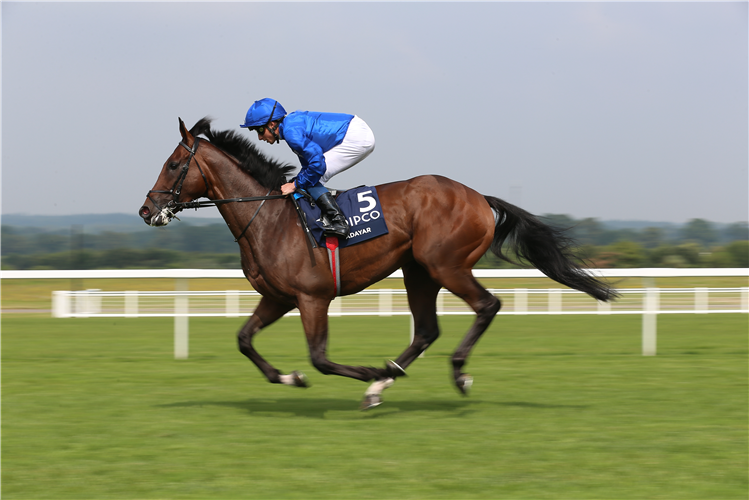 ADAYAR ridden by jockey William Buick. Adayar can make a winning return to action in the bet365 Gordon Richards Stakes on a cracking seven-race card at Sandown.
