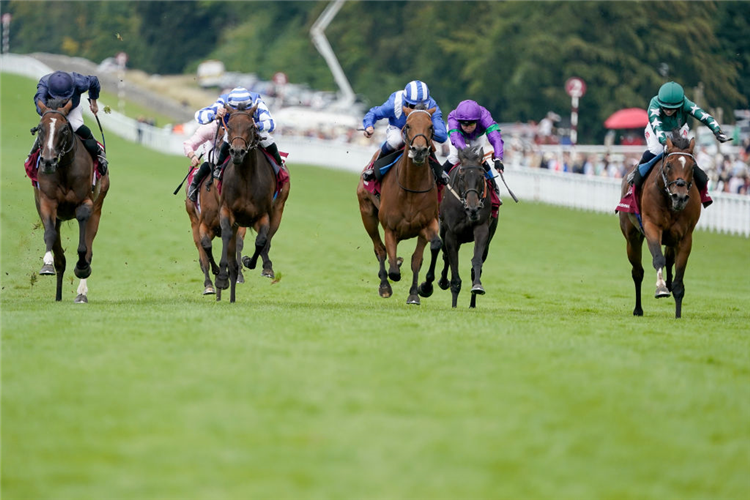 AL HUSN (centre blue/white cap)winning the Nassau Stakes at Goodwood in Chichester, England.