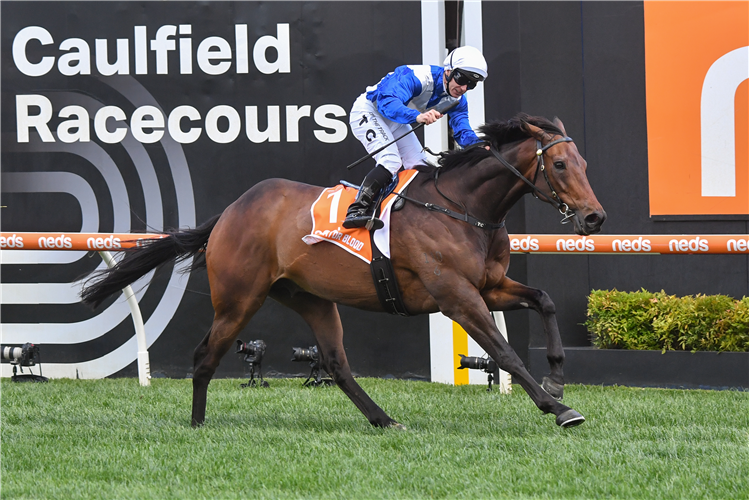 ALLIGATOR BLOOD winning the Neds Might And Power at Caulfield in Australia.