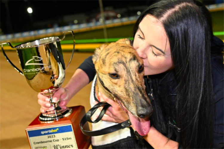 A kiss for a champ… Handler Holly Thompson with Cranbourne Cup hero, Alpha Zulu