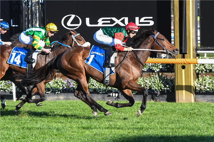 AMELIA'S JEWEL winning the Let's Elope Stakes at Flemington in Australia.