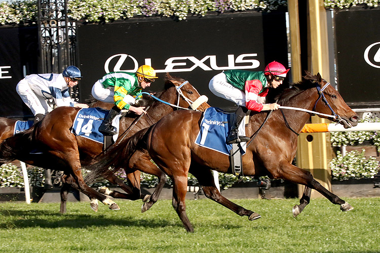 AMELIA'S JEWEL winning the Furphy Let's Elope Stakes