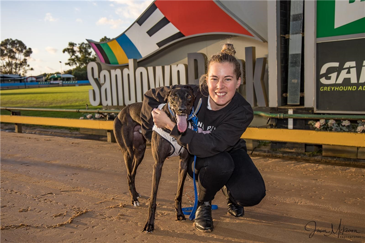 Amron Boy Sets Sandown Alight Ahead Of Paws Tilt | Racing and Sports