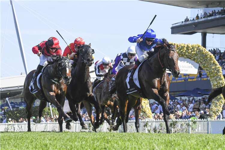 ANAMOE winning the THE AGENCY GEORGE RYDER STAKES at Rosehill in Australia.