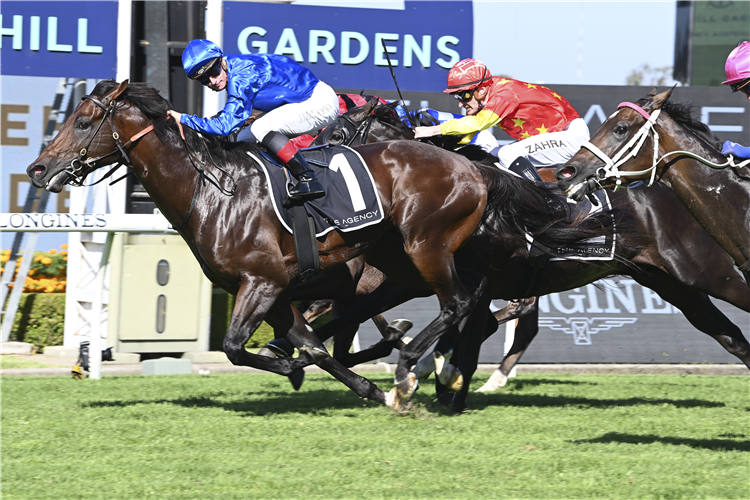 ANAMOE winning the THE AGENCY GEORGE RYDER STAKES at Rosehill in Australia.