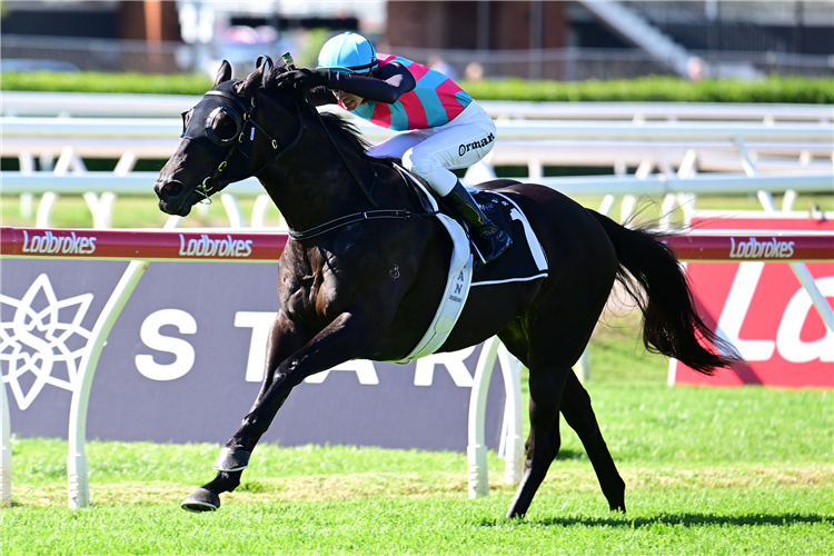 ANTINO winning the THE STAR Class 6 Handicap