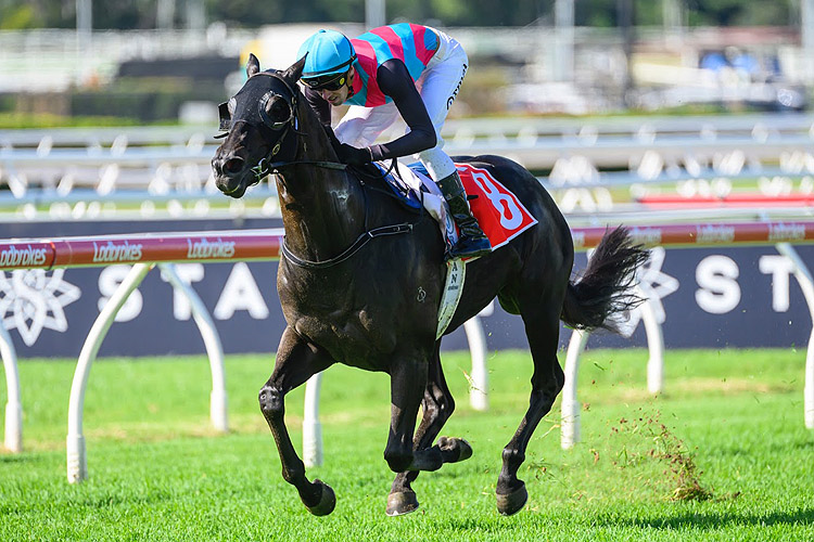 Antino Backed For Queensland Racing Carnival Glory | Sky Racing World ...