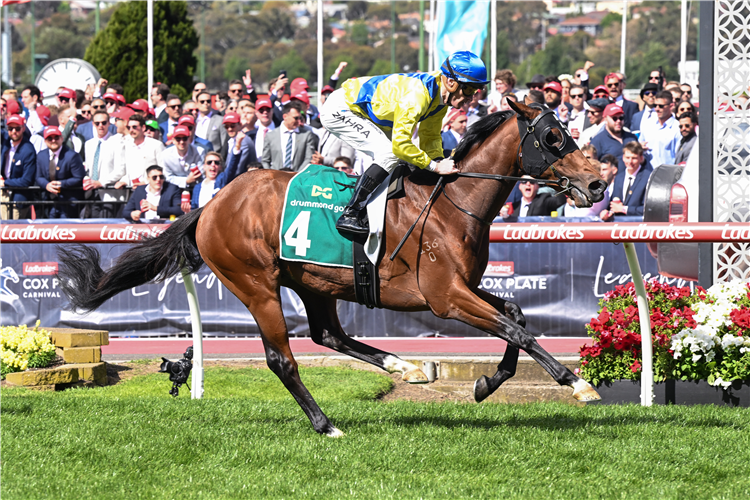 APULIA winning the Drummond Golf Vase at Moonee Valley in Australia.