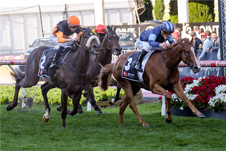 ARCHO NACHO winning the Red Anchor Stakes at Moonee Valley in Australia.