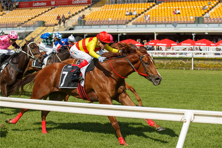 ARENTEE winning the BREAKFAST WITH THE STARS 6 JUNE QTIS Class 6 Plate at Doomben in Australia.