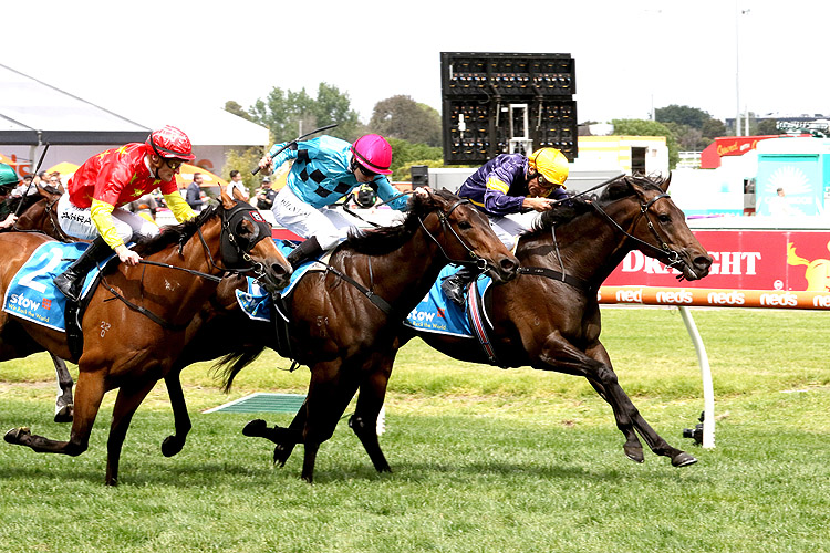 ARKANSAW KID winning the Stow Storage Gothic Stakes