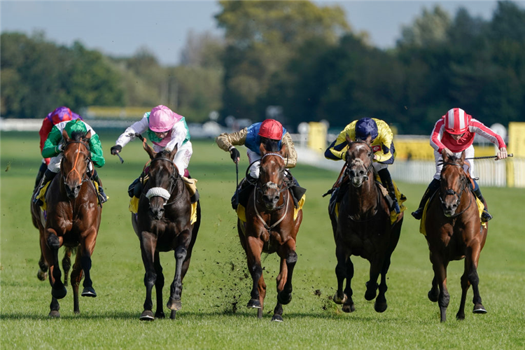 ARRAY (pink cap) winning the Mill Reef Stakes at Newbury in England.