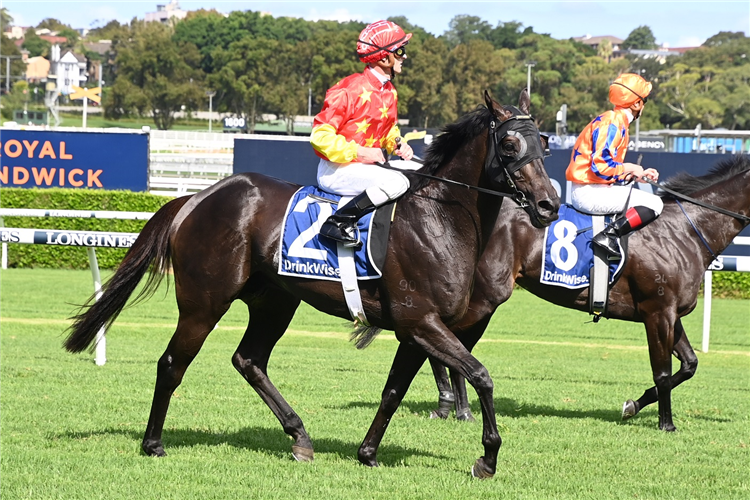 ARTORIUS winning the Canterbury Stakes at Randwick in Australia.