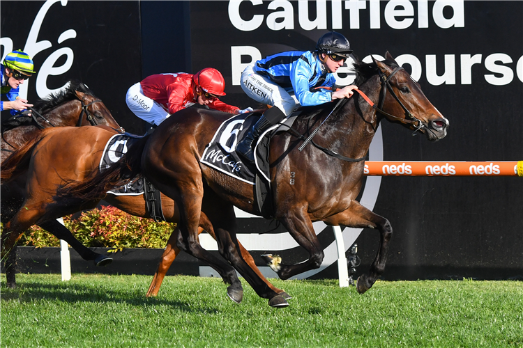 ASFOORA winning the The McCaf? 1100 Stakes at Caulfield in Australia.