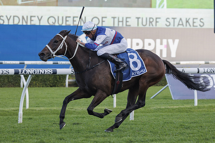 ATISHU winning the SYDNEY QUEEN OF THE TURF STAKES