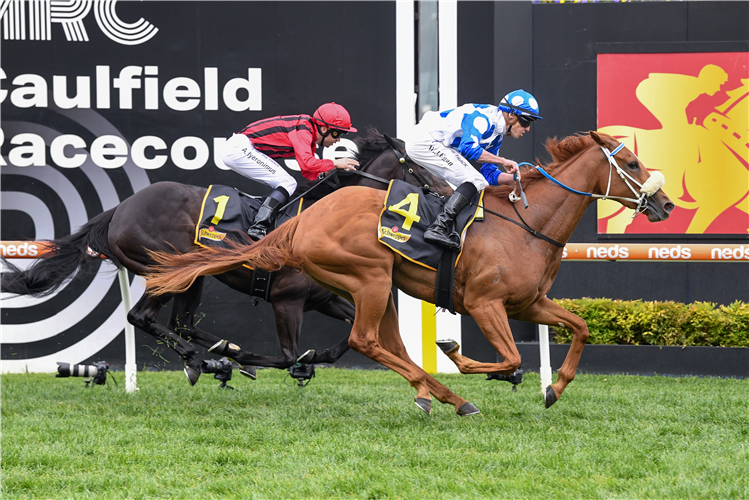 AUTUMN ANGEL winning the Ethereal Stakes at Caulfield in Australia.