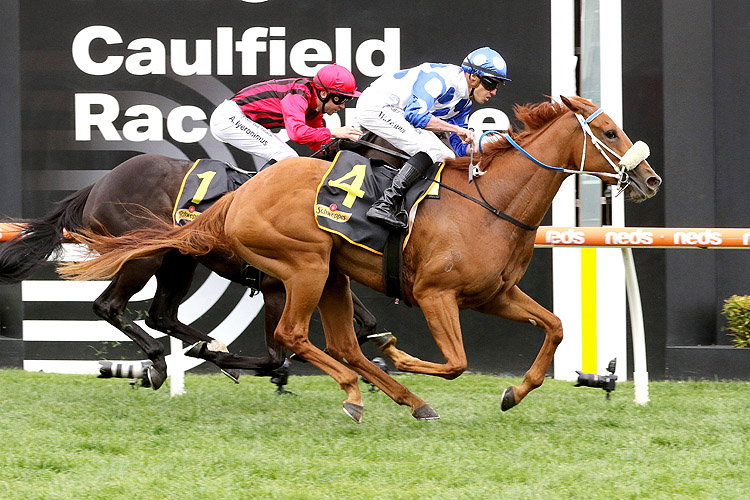 AUTUMN ANGEL winning the Schweppes Ethereal Stakes
