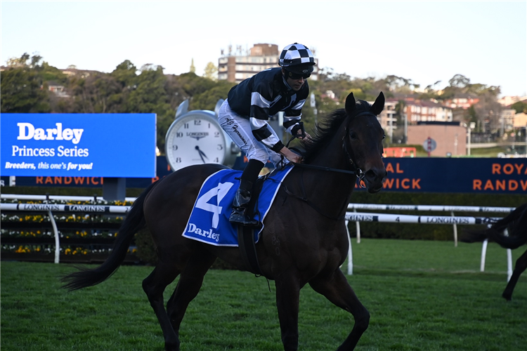 AUTUMN BALLET winning the Darley Silver Shadow Stakes at Randwick in Australia.
