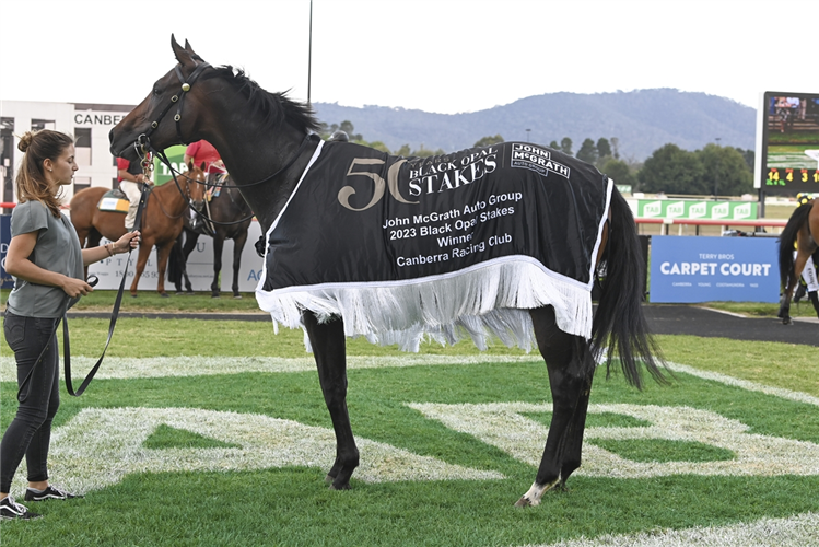 Autumn Ballet was a strong winner of the 2023 John McGrath Auto Group Black Opal Stakes.
