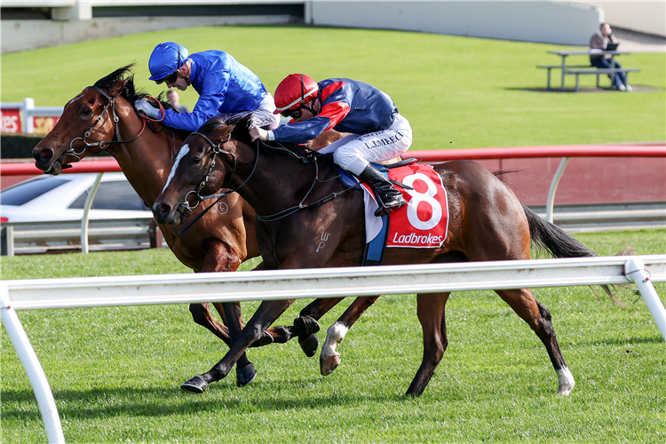 AXZELINA winning the LADBROKES RACING CLUB HANDICAP at Sandown Hillside in Australia.