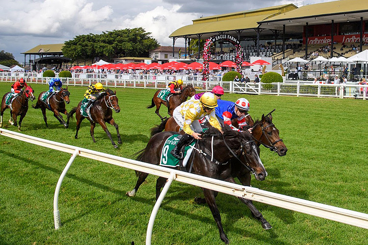 2023 Jj Atkins: Latest Betting | Racing and Sports