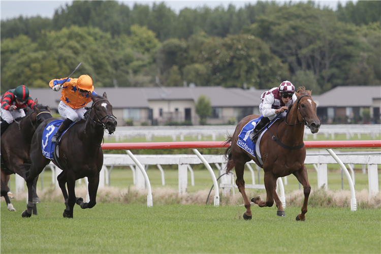 Babylon Berlin (inner) gives her all as she tries to hold out Imperatriz in the Gr.1 Sistema Railway (1200m) at Te Rapa