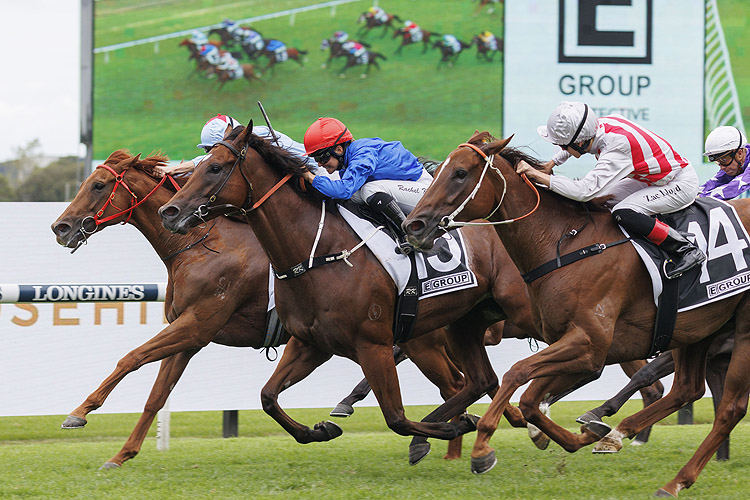 BACCHANALIA winning the EGROUP SECURITY STAR KINGDOM STAKES