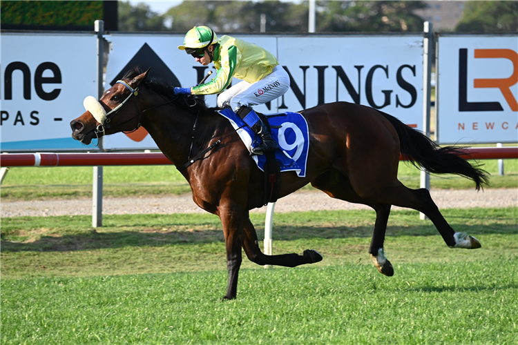 BANANA QUEEN winning the YARRAMAN PARK STUD TIBBIE STAKES at Newcastle in Australia.
