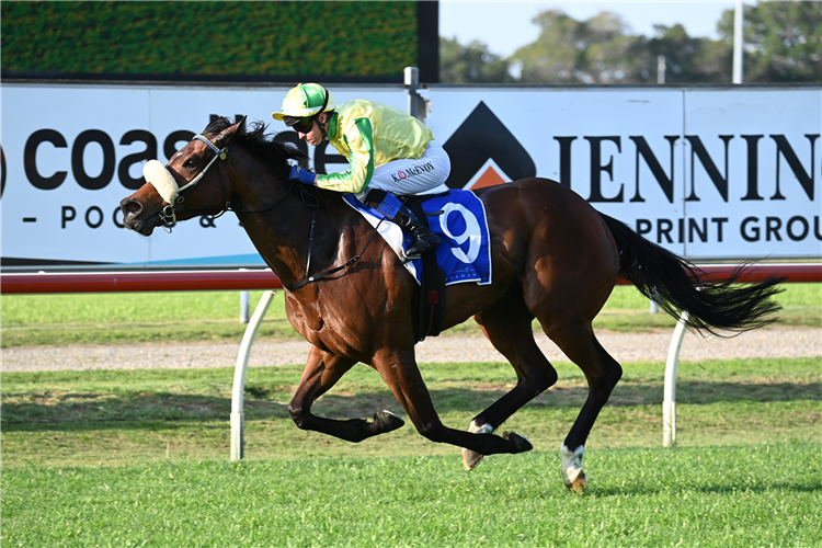 BANANA QUEEN winning the YARRAMAN PARK STUD TIBBIE STAKES at Newcastle in Australia.