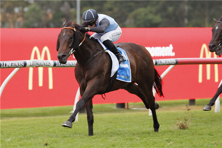 BANDERSNATCH winning the Doncaster Prelude at Rosehill in Australia.