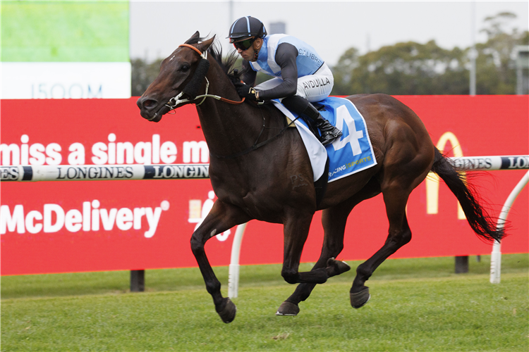 BANDERSNATCH winning the RACING AND SPORTS DONCASTER PRELUDE at Rosehill in Australia.