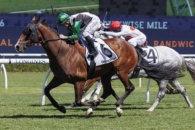 BANJU winning the DRINKWISE MILE