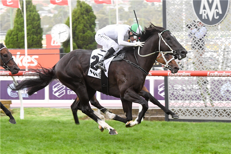 BANK MAUR winning the DCE Alister Clark Stakes at Moonee Valley in Australia.